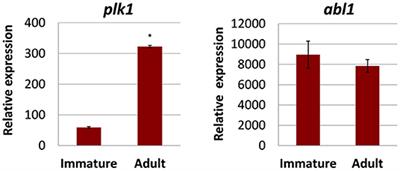 Targeting Kinases in Fasciola hepatica: Anthelminthic Effects and Tissue Distribution of Selected Kinase Inhibitors